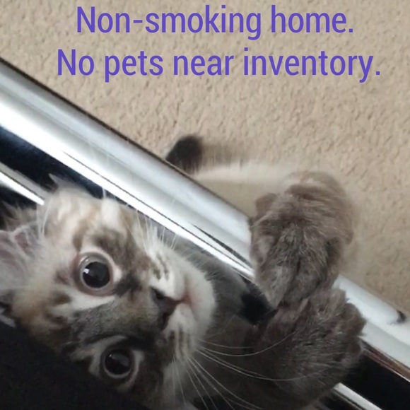 Smoke free, fur free! - Picture 1 of 1